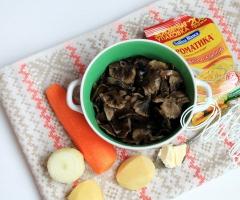 Honey mushroom soups: recipes for first courses Canned honey mushroom soup recipe