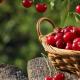 The benefits of dried and dried cherries